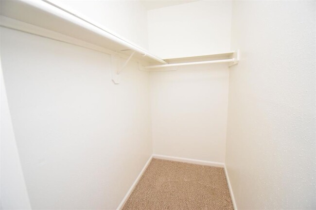 Building Photo - 4040 San Felipe St