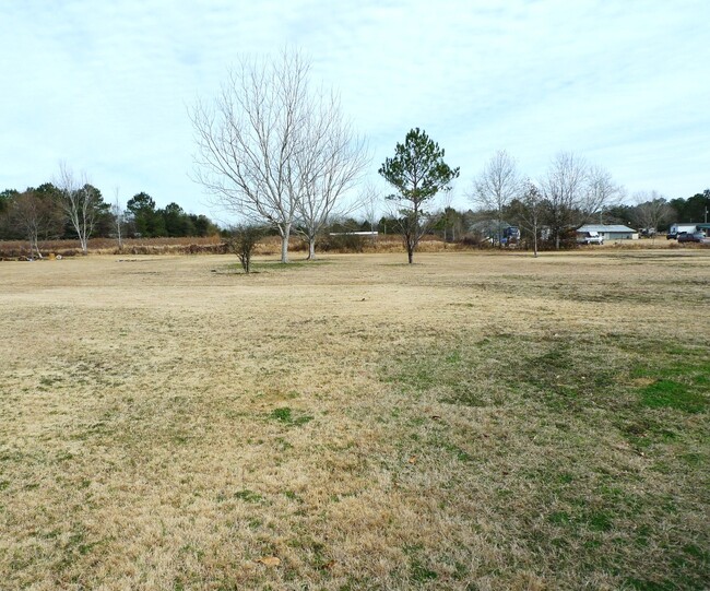 Building Photo - Huge yard in the country!