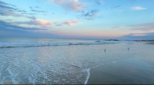 Building Photo - 1718 White St