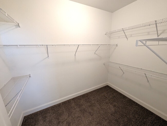 Building Photo - 146 Brindle Ln