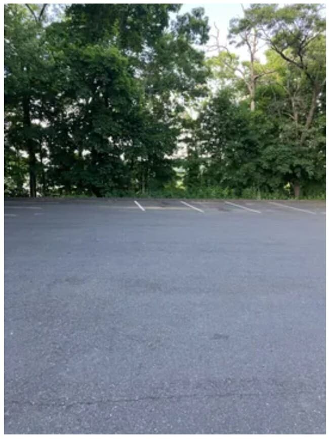 Building Photo - 23 Shirley St