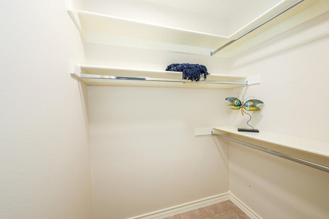 Building Photo - 303 Cinnamon Teal Loop