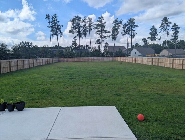 Building Photo - New Listing!!