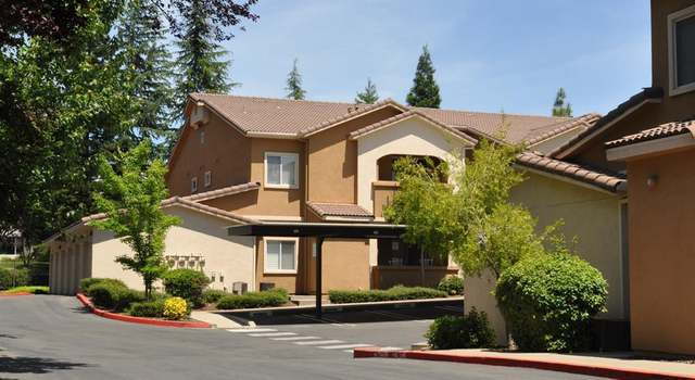 Primary Photo - Charming 1-Bedroom Retreat in Roseville - ...