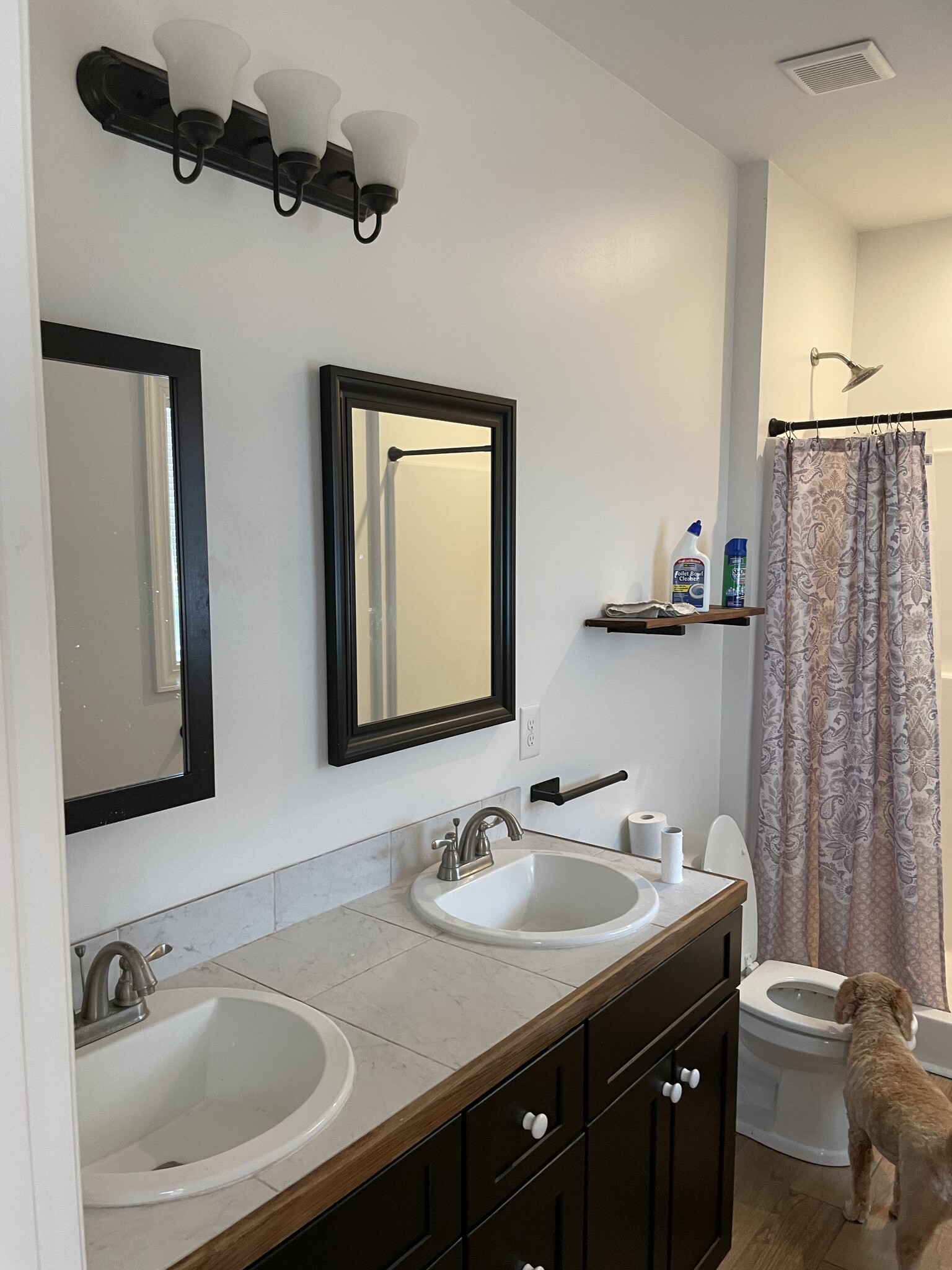 master bath - 89 Bent Tree Ln