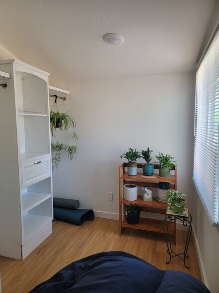 Building Photo - 923 Las Juntas St