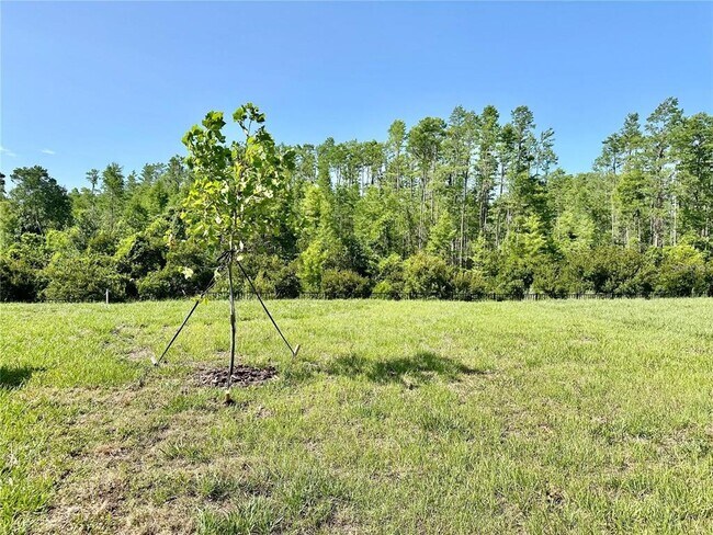 Building Photo - 17606 Happytrails St