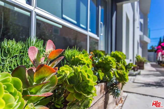 Building Photo - 615 6th Ave