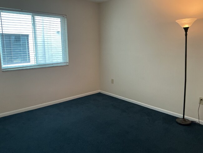 Building Photo - Lakeview Condo Coming Soon | Directly Across from Lake Hollingsworth