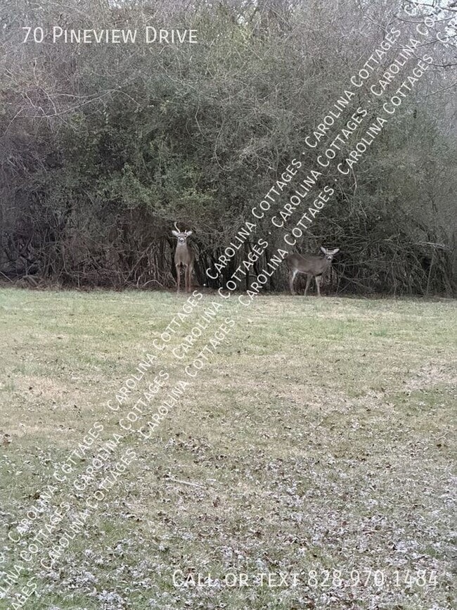 Building Photo - 70 Pine View Dr