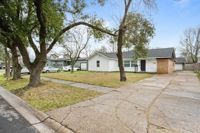 Primary Photo - 1219 Park Ln