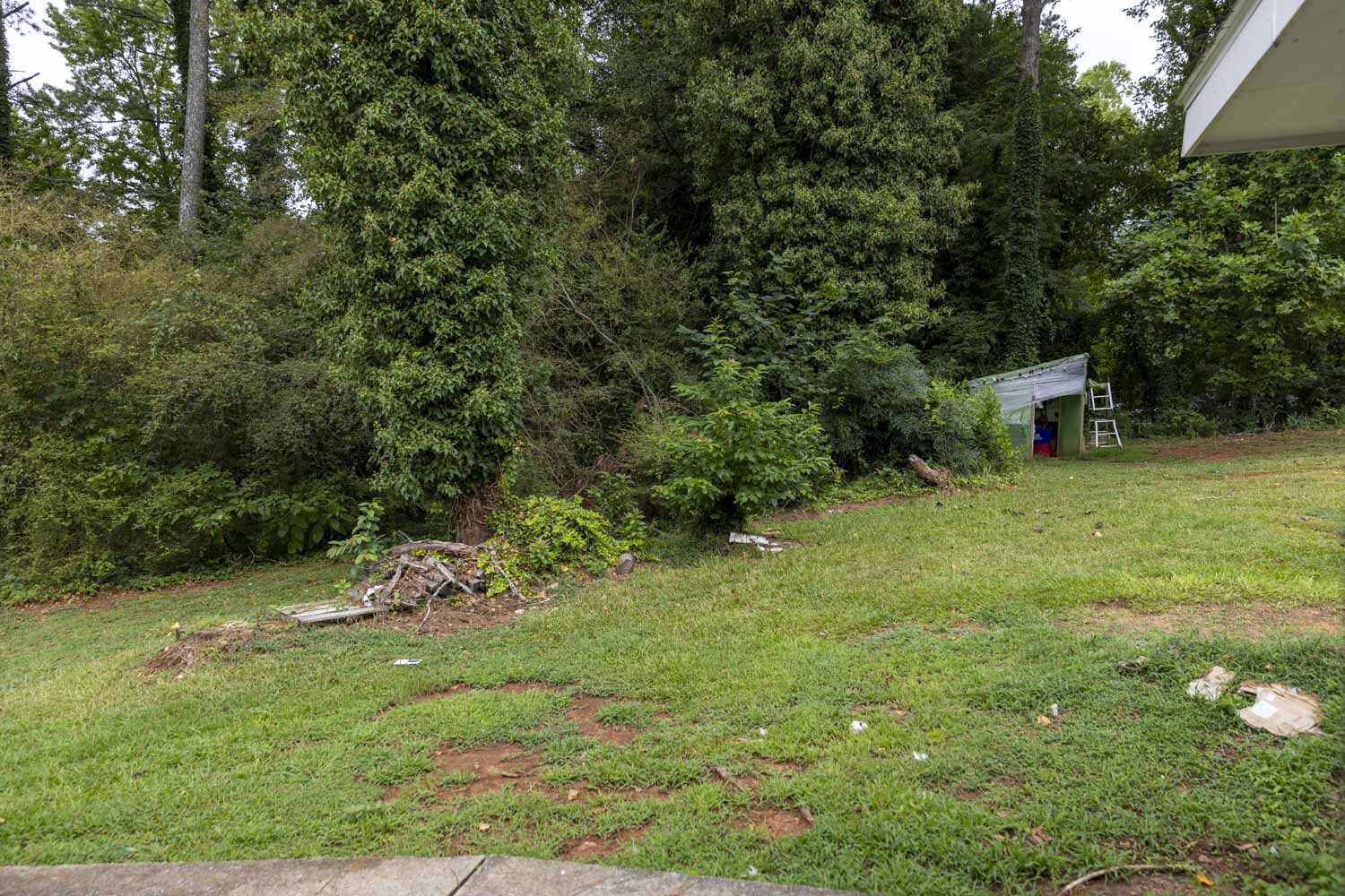 Backyard - 4801 Valley Dale Dr SW