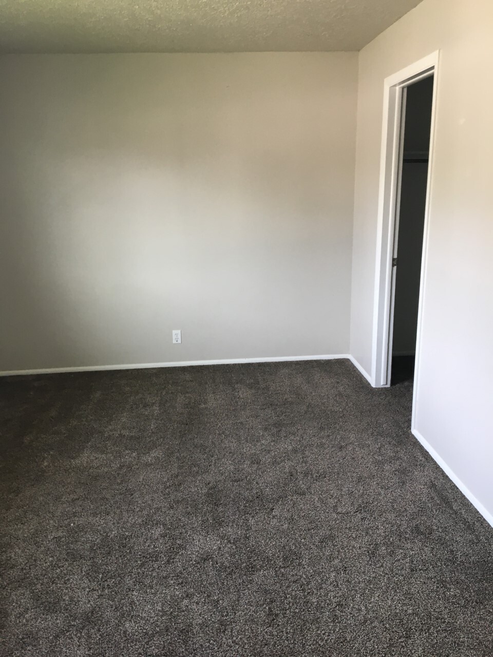 Building Photo - 2217 Bonniebrook Dr