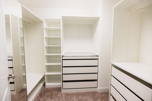 Building Photo - Stunning 5 Bedrooms, 4 Baths home in Summerfield with 2 car garage.