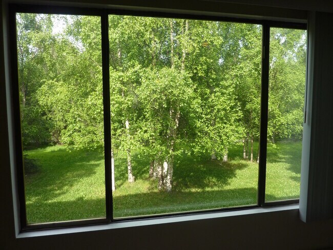 Building Photo - Huge Two Bedroom On the Creek in South Anchorage