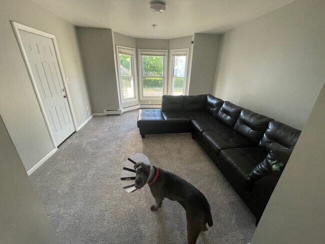 Living Room (dog and couch not included) - 712 25th St