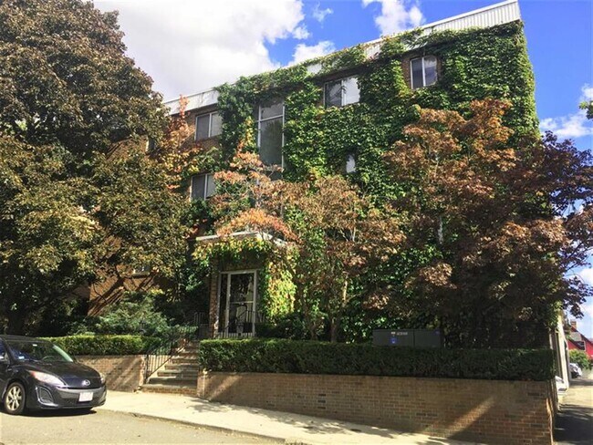 Building Photo - 42 Belmont St