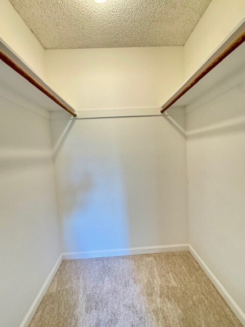 Building Photo - 1407 Marchbanks Dr