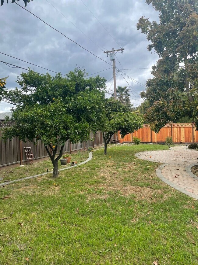 Building Photo - 805 Onyx Ct