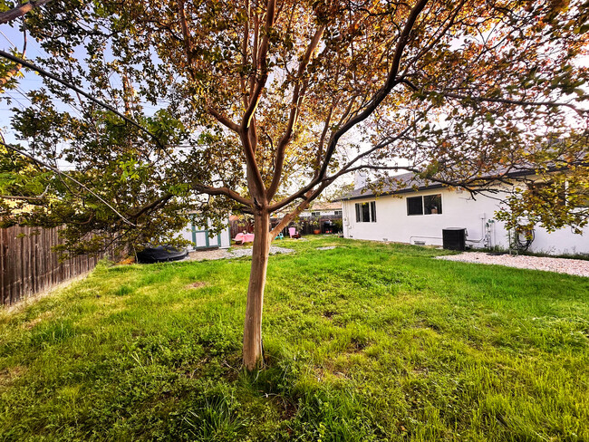 Building Photo - 203 Montrose Dr