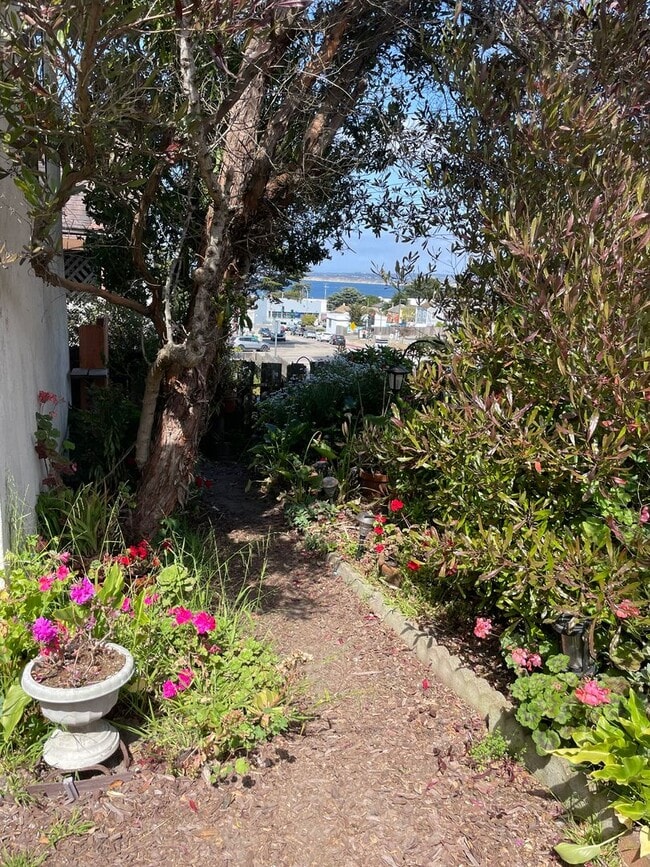 Building Photo - 2bd Monterey Cottage with Ocean Views