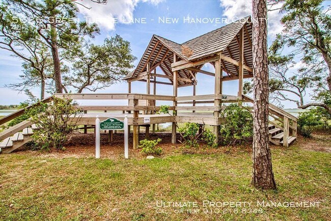 Building Photo - Gorgeous Home for Rent in Turtle Hall!
