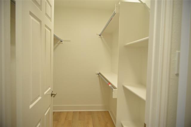 Building Photo - 4501 Druid Ln