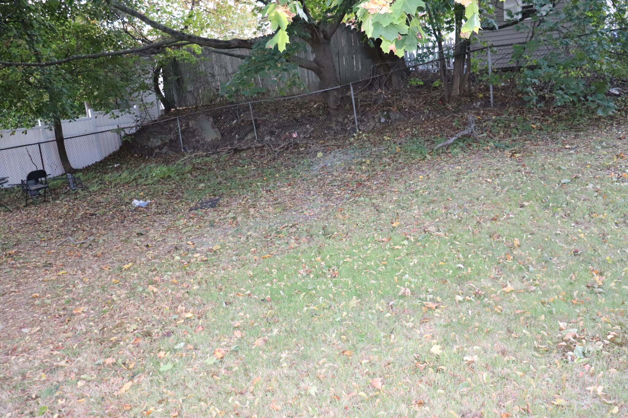 Backyard - 30 Riverside Dr