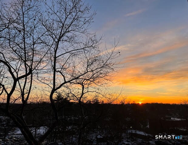 Building Photo - 91 Strawberry Hill Ave