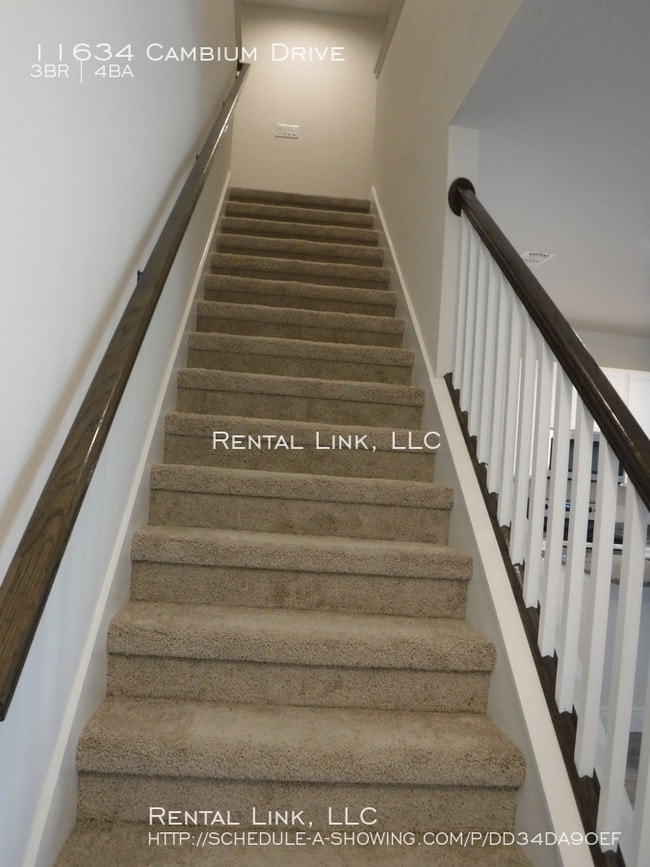 Brand New Luxury Townhouse in Boyette Park 11634 Cambium Dr Riverview