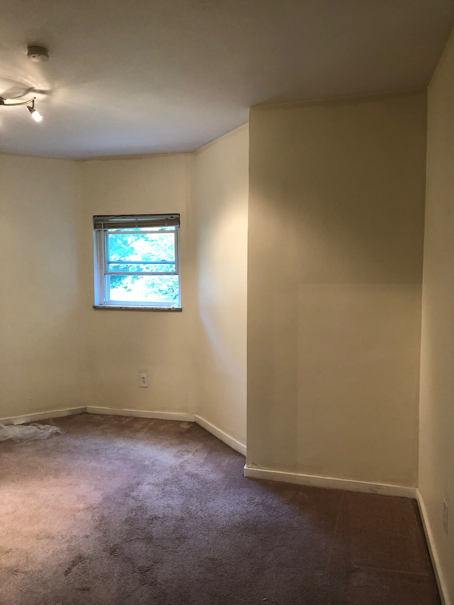 Back Bedroom - 637 Collins Ave