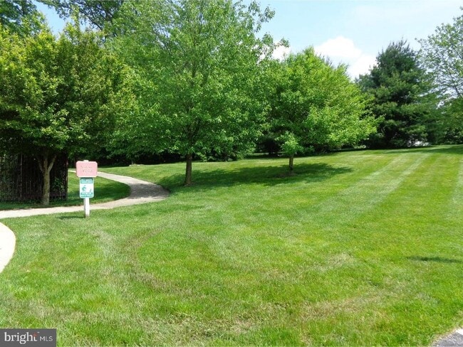 Building Photo - 211 Silverbell Ct
