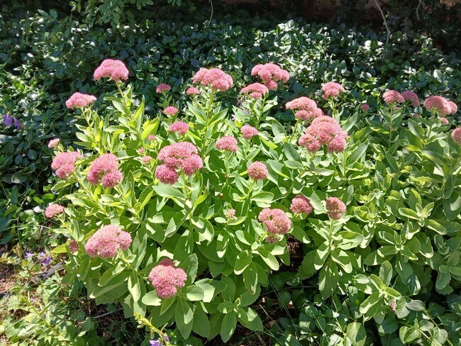Building Photo - Absolute Gem in Pueblo Alegre (Camino De Chelly)