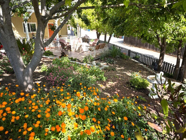 Front Yard - 1340 Hospital Rd