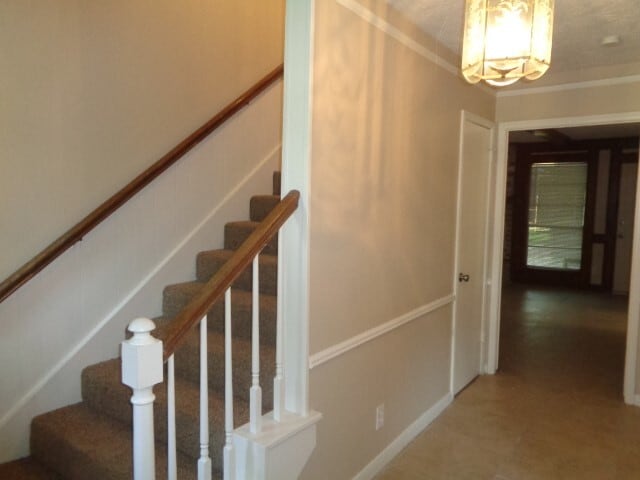 Building Photo - 802 Baltic Ln