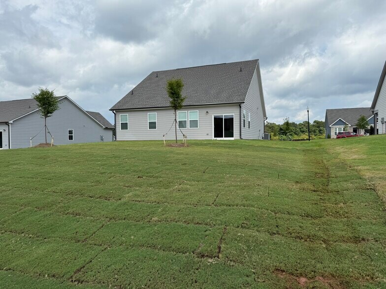 Backyard - 208 Overton Dr