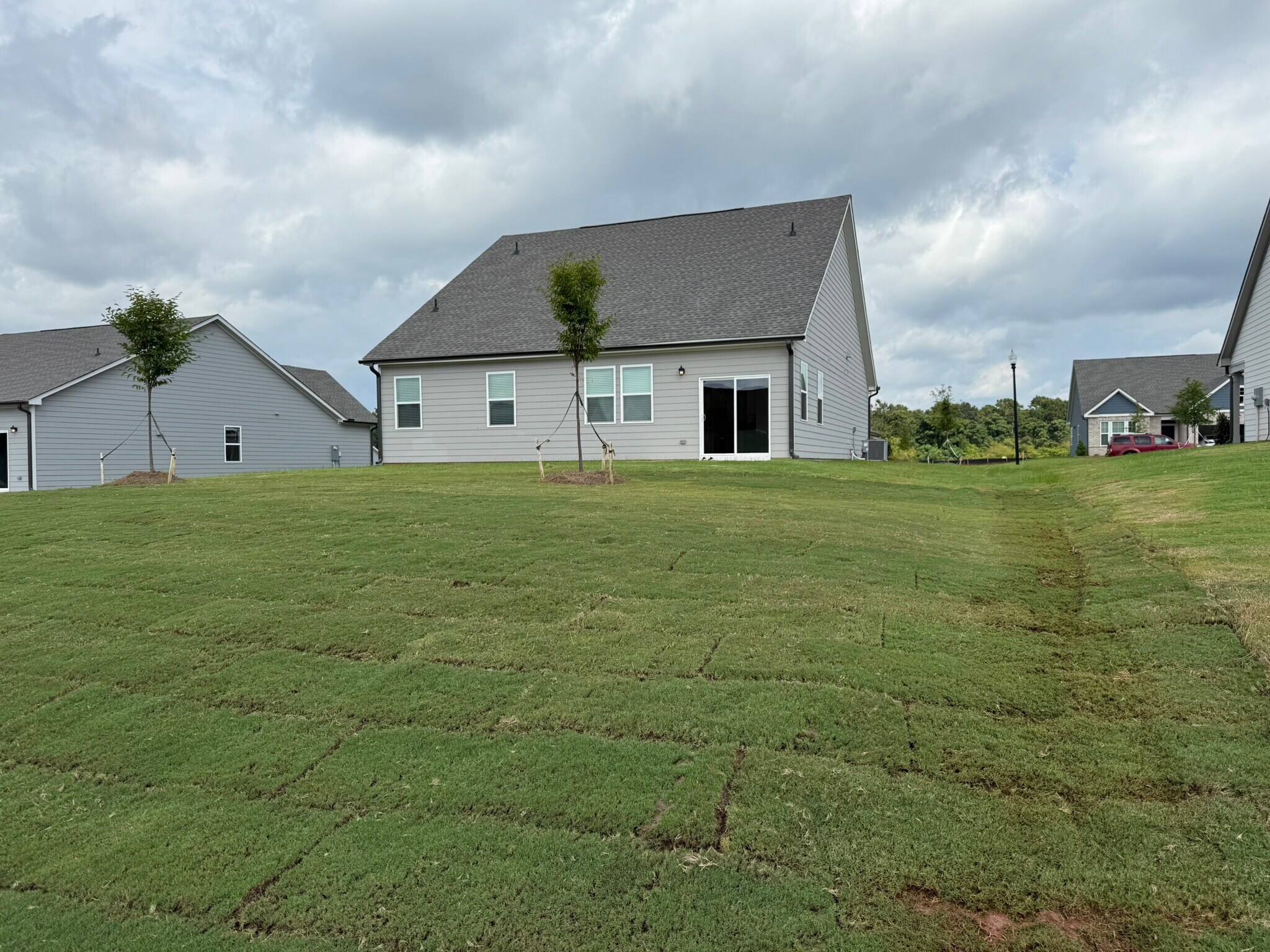 Backyard - 208 Overton Dr