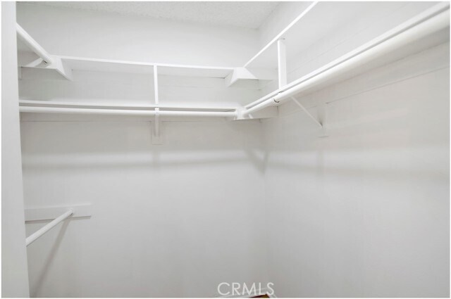 Building Photo - 2119 Calle Ola Verde