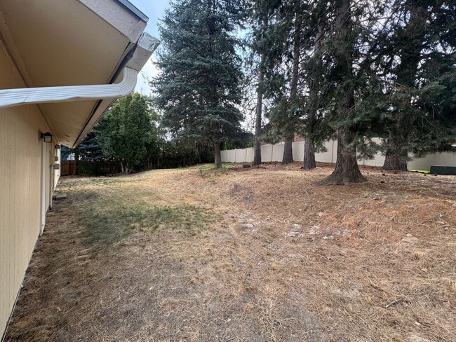 Building Photo - HANGMAN VALLEY 4 BEDROOM HOME