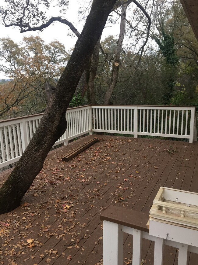 Building Photo - 110 Rock Ravine Ct