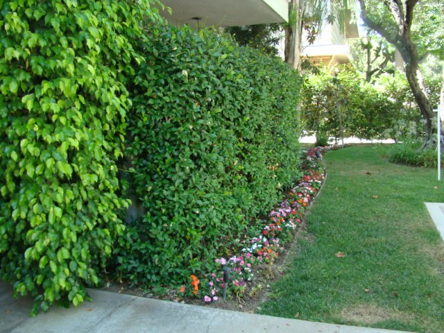 Building Photo - 533 S Hudson Ave