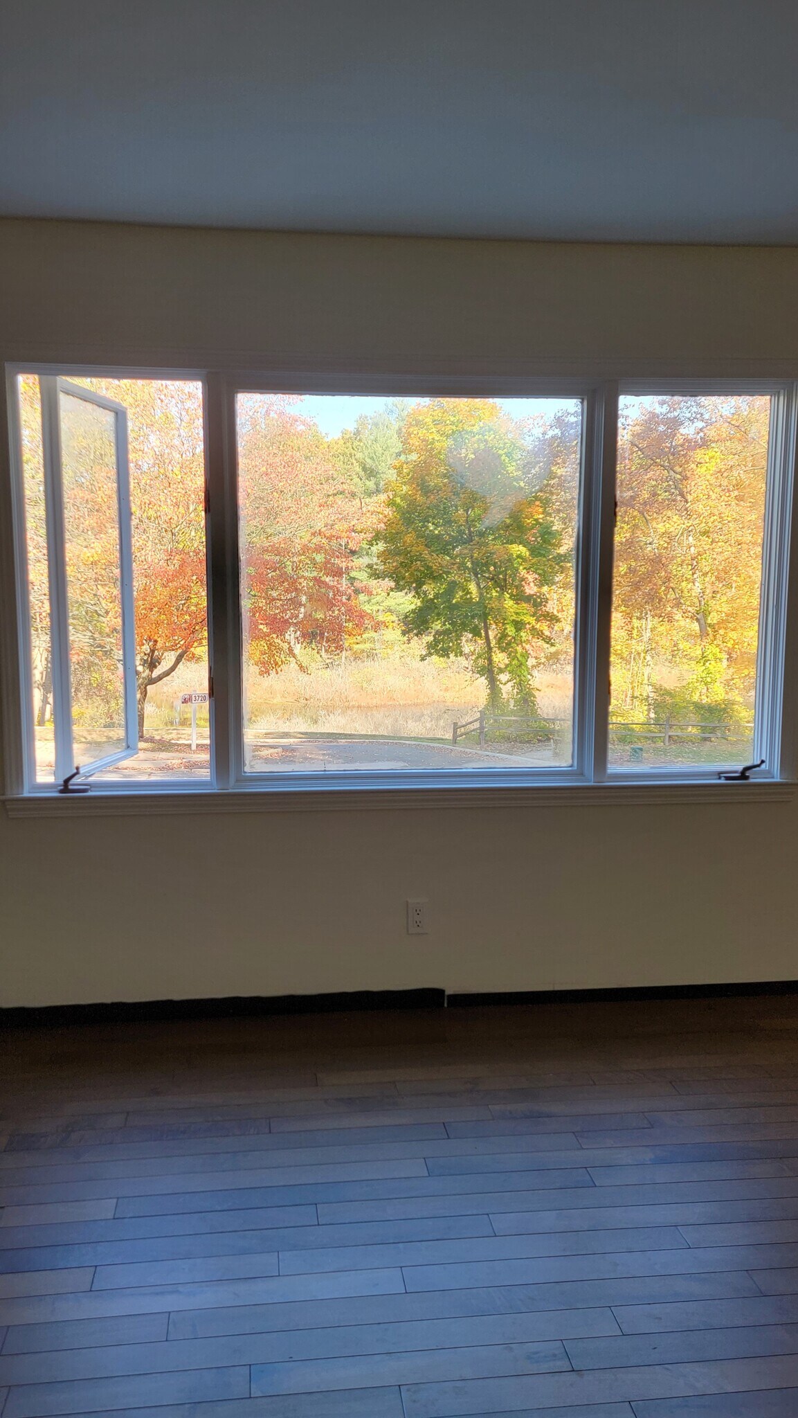living room bay window, looking north - 3705 Winchell Ave