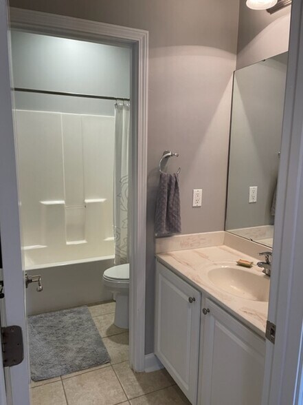 guest bathroom - 824 Wintercreeper Dr
