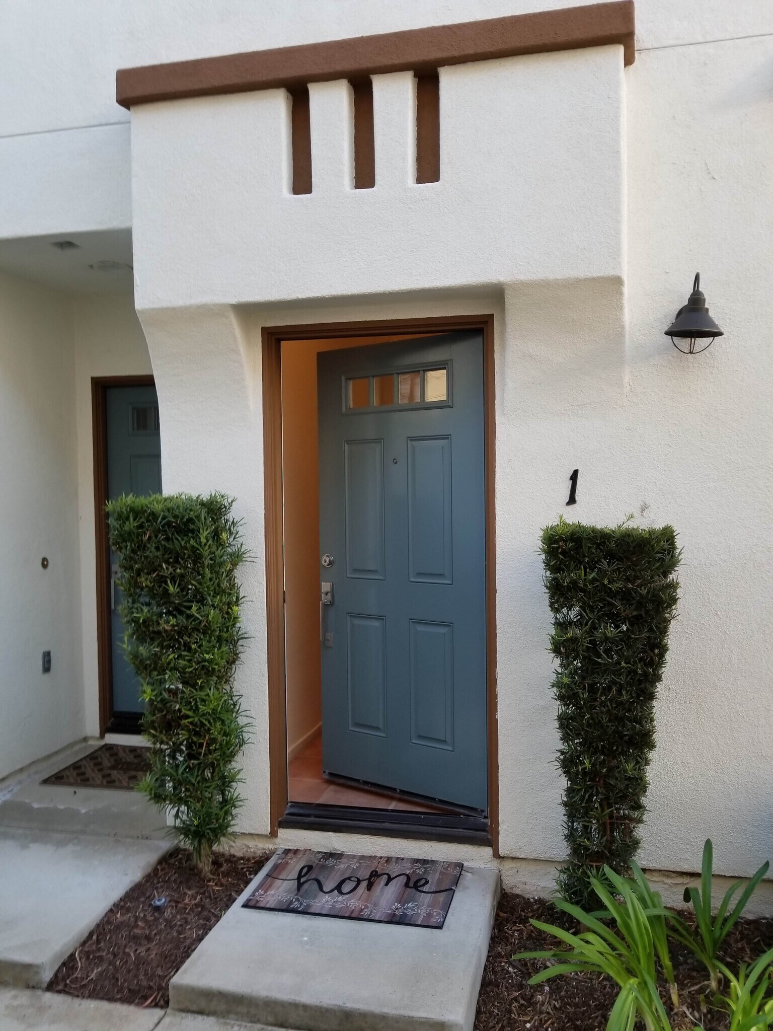 Front entry - 16939 Robins Nest Way