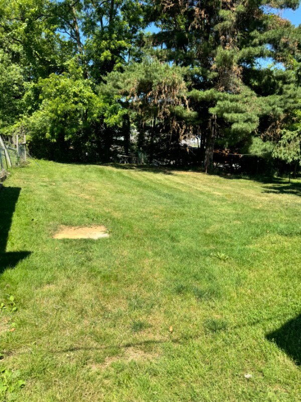 Building Photo - 105 Maher St