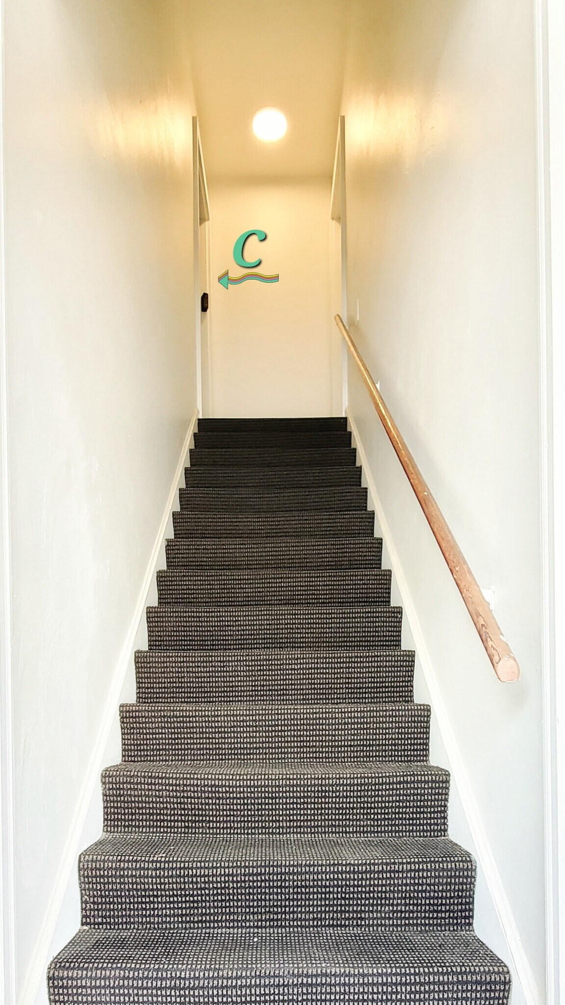 Building Photo - 911 Pacific Ave