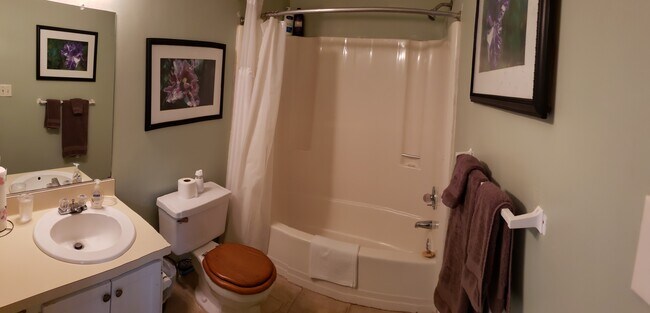 Master Bath - 536 Lanier Crescent