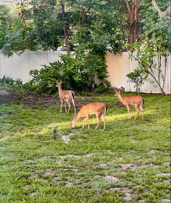 Building Photo - 2545 S Zellner Dr