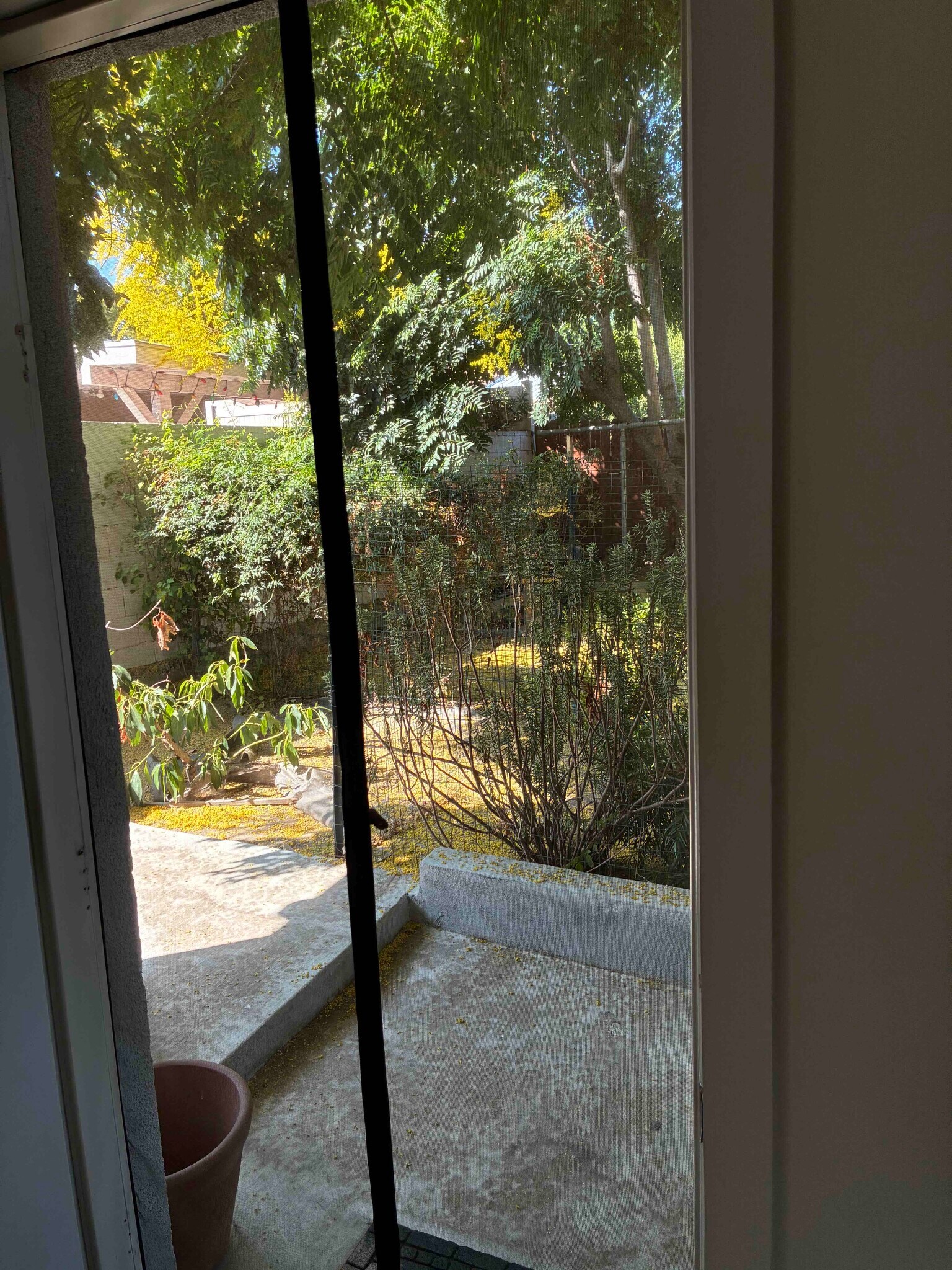 Building Photo - 6207 Goodland Ave