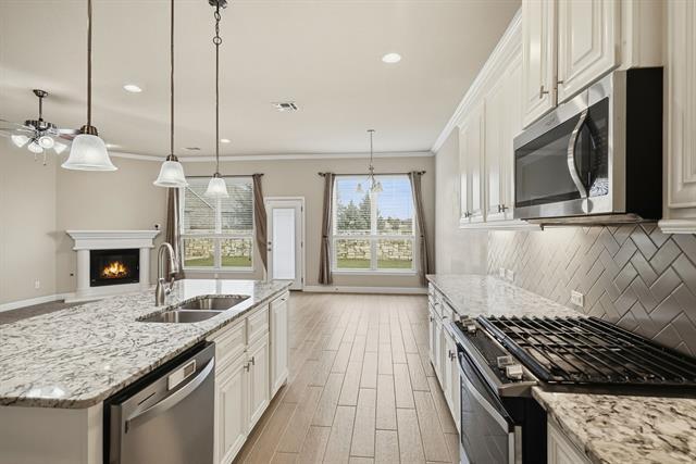 Building Photo - 513 Mistflower Springs Dr